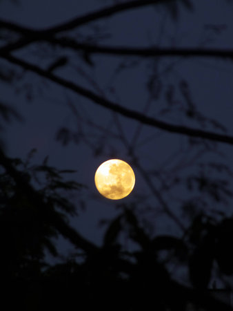 Moon at nightの写真素材