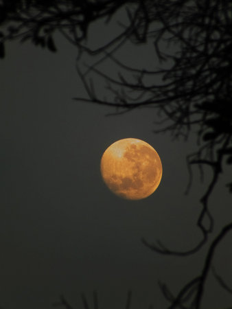 Moon in the morningの写真素材