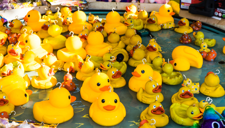 Rubber yellow ducks with hooks in their heads. Fairground hook a rubber duck chance game.の写真素材