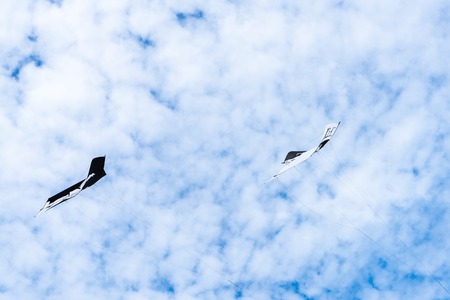 Kites flying in the sky among the clouds.Kite Festival