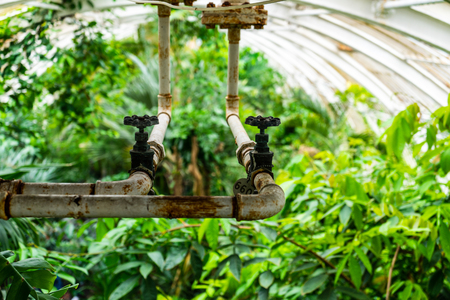 Greenhouse Watering System in Kew Gardens.The world's largest Victorian greenhouse.の写真素材