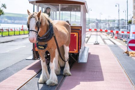 Douglas, Isle of Man, June 16, 2019. The Douglas Bay Horse Tramway on the Isle of Man runs along the seafront promenadeのeditorial素材