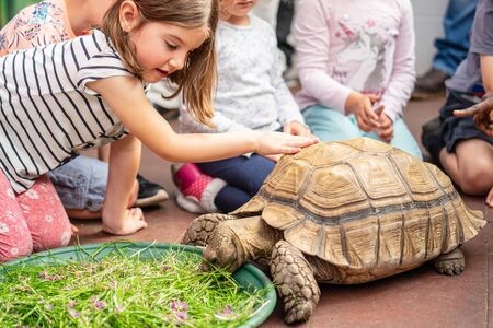 Kids feeding turtle in EDINBURGH BUTTERFLY and INSECT WORLD.Selected focusの写真素材