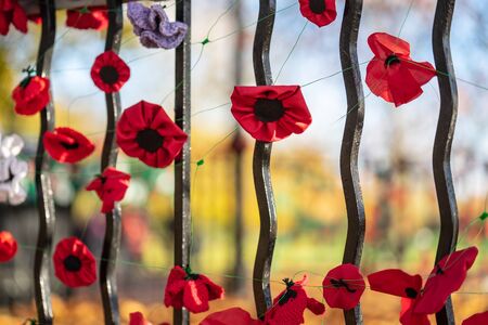 Remembrance Day, sometimes known informally as Poppy Day.A closeup of knitted Poppies to commemorate Armistice Day in the UKの写真素材