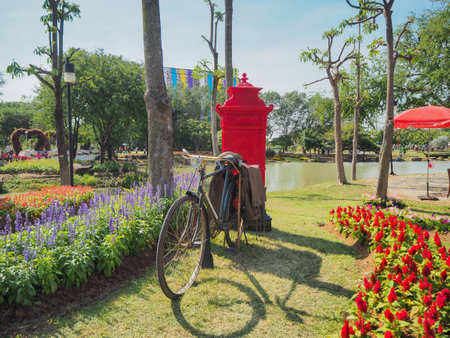 Old bicycle of post in garden, Khonkaen Thailand Asiaの写真素材