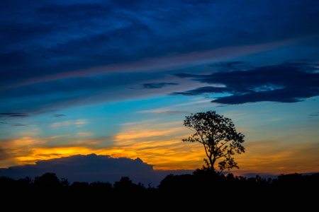 Sunset twilight time with silhouette tree at Somdet Kalasin Thailandの写真素材