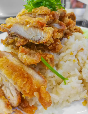 Closeup steamed fried chicken with rice, Focus dishの写真素材