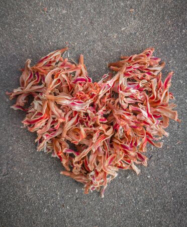 A heart shape with dry flower on the floorの写真素材