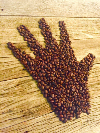 Coffee arabicaの写真素材