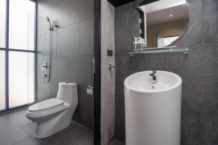 Luxury bathroom features basin, toilet bowl