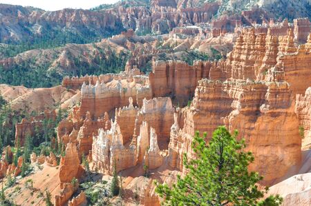 Bryce Canyon, Utahの写真素材