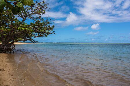 Sand beach in Kauai, Hawaiiの写真素材