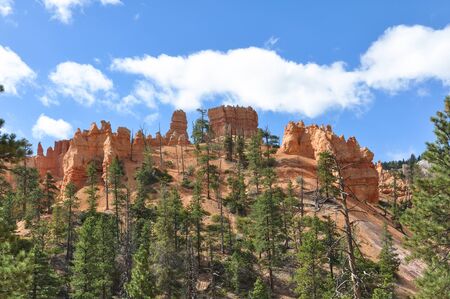 Bryce Canyon National Park, Utahの写真素材
