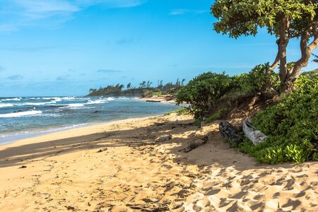 Sand beach in Kauai, Hawaiiの写真素材