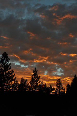 Sunset on the trees, Lake Tahoeの写真素材
