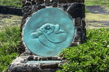 Kauila and the sea turtles, Big Island, Hawaiiの写真素材