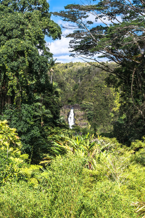 Akaka Falls, Big Island, Hawaiiの写真素材