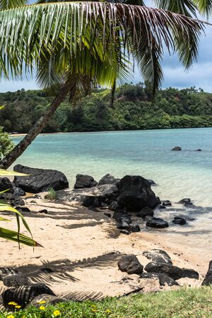 Sand beach in Kauai, Hawaiiの写真素材