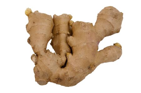 ginger root isolated on white backgroundの写真素材