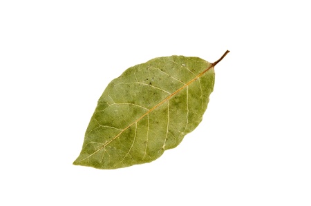 dried bay leaf isolated on a white backgroundの写真素材