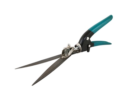 hand shears for cutting grass isolated on white backgroundの写真素材