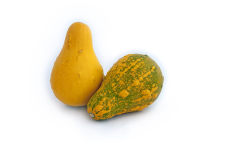 Decorative pumpkin isolated on white background. Halloween and harvest symbol.の写真素材