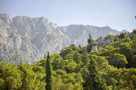 View of the mountain slope and nearby woods. Vepric sanctuary in Makarska. Croatia summer 2015の写真素材