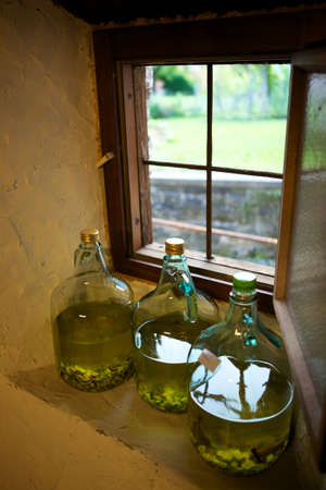 Home made grappa from fruitの写真素材