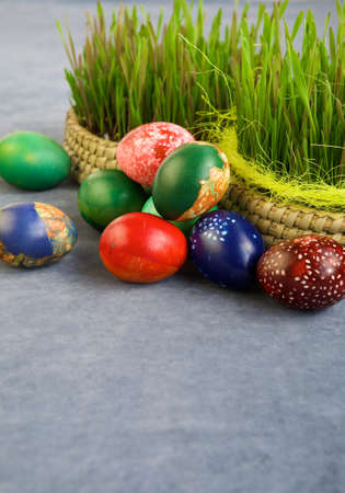 Easter eggs and green grassの写真素材