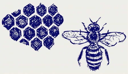 Working bee on honeycellsのイラスト素材