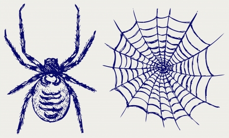 Spider and cobwebのイラスト素材