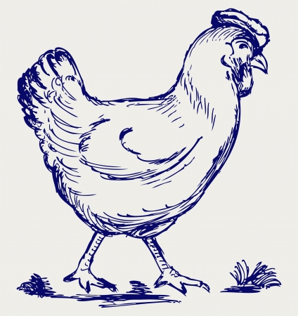 Chicken. Doodle styleのイラスト素材