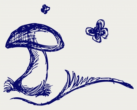 Edulis. Doodle styleのイラスト素材