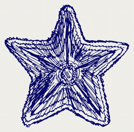 Starfish. Doodle styleのイラスト素材