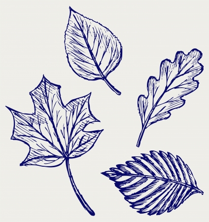 Collection autumn leaves. Doodle styleのイラスト素材