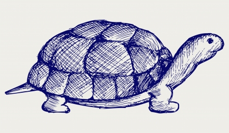 Ear tortoise  Doodle styleのイラスト素材