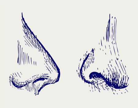 Nose  Doodle styleのイラスト素材