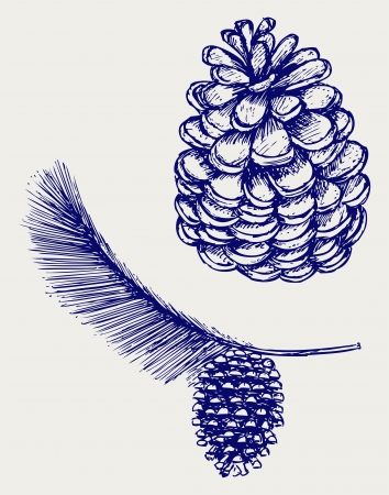 Pine branch with cones. Doodle styleのイラスト素材