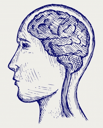 Human brain and head. Doodle styleのイラスト素材