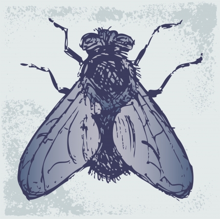 Black flies. Grunge styleのイラスト素材
