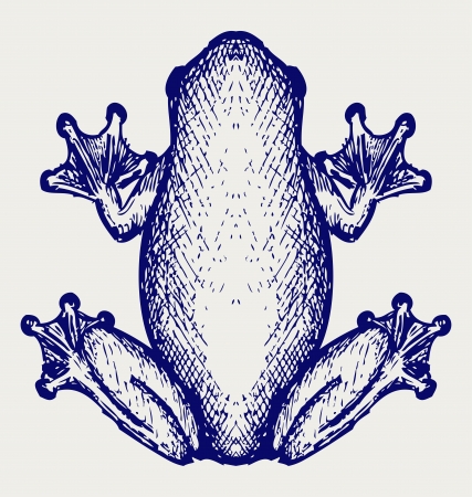 Frog sketch. Doodle styleのイラスト素材