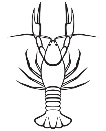Silhouette crayfish isolated on white backgroundのイラスト素材