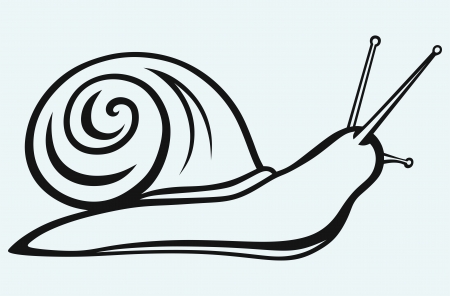 Snail isolated on blue backgroundのイラスト素材