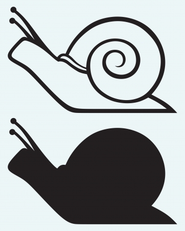 Snail isolated on blue backgroundのイラスト素材
