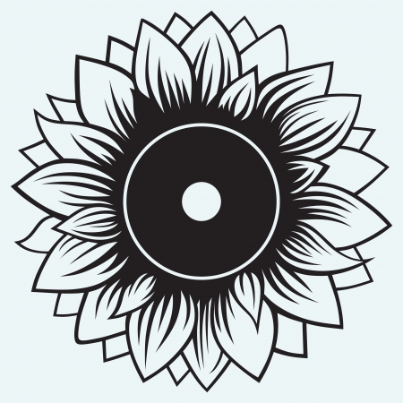 Sunflower isolated on blue backgroundのイラスト素材