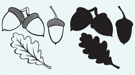 Acorns with leaf isolated on blue backgroundのイラスト素材