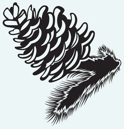 Pine strobile isolated on blue backgroundのイラスト素材