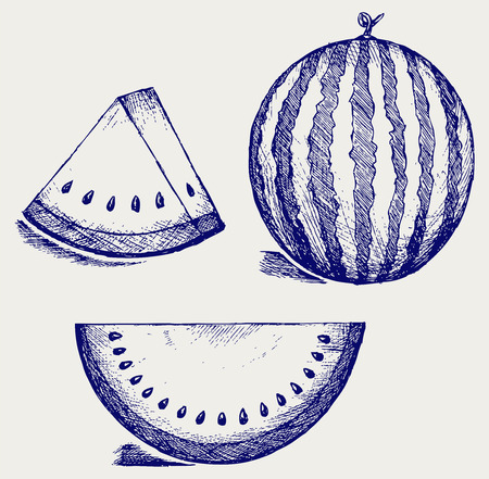 Whole and slices of watermelon  Doodle styleのイラスト素材