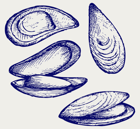 Cooked lipped mussel  Doodle styleのイラスト素材