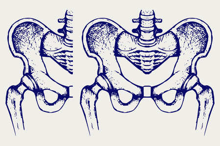 Skeleton thigh. Doodle styleのイラスト素材